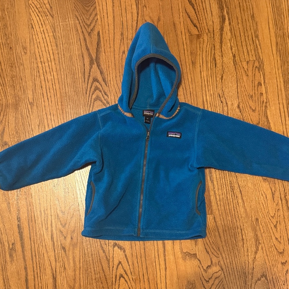 Patagonia Vibrant Blue Fleece Hoodie